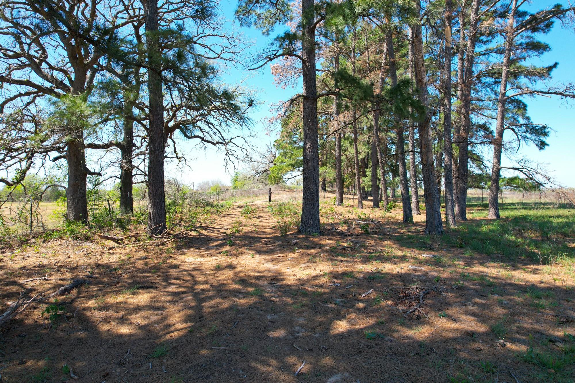 1550 Cattlemens Row Lockhart TX 78644
