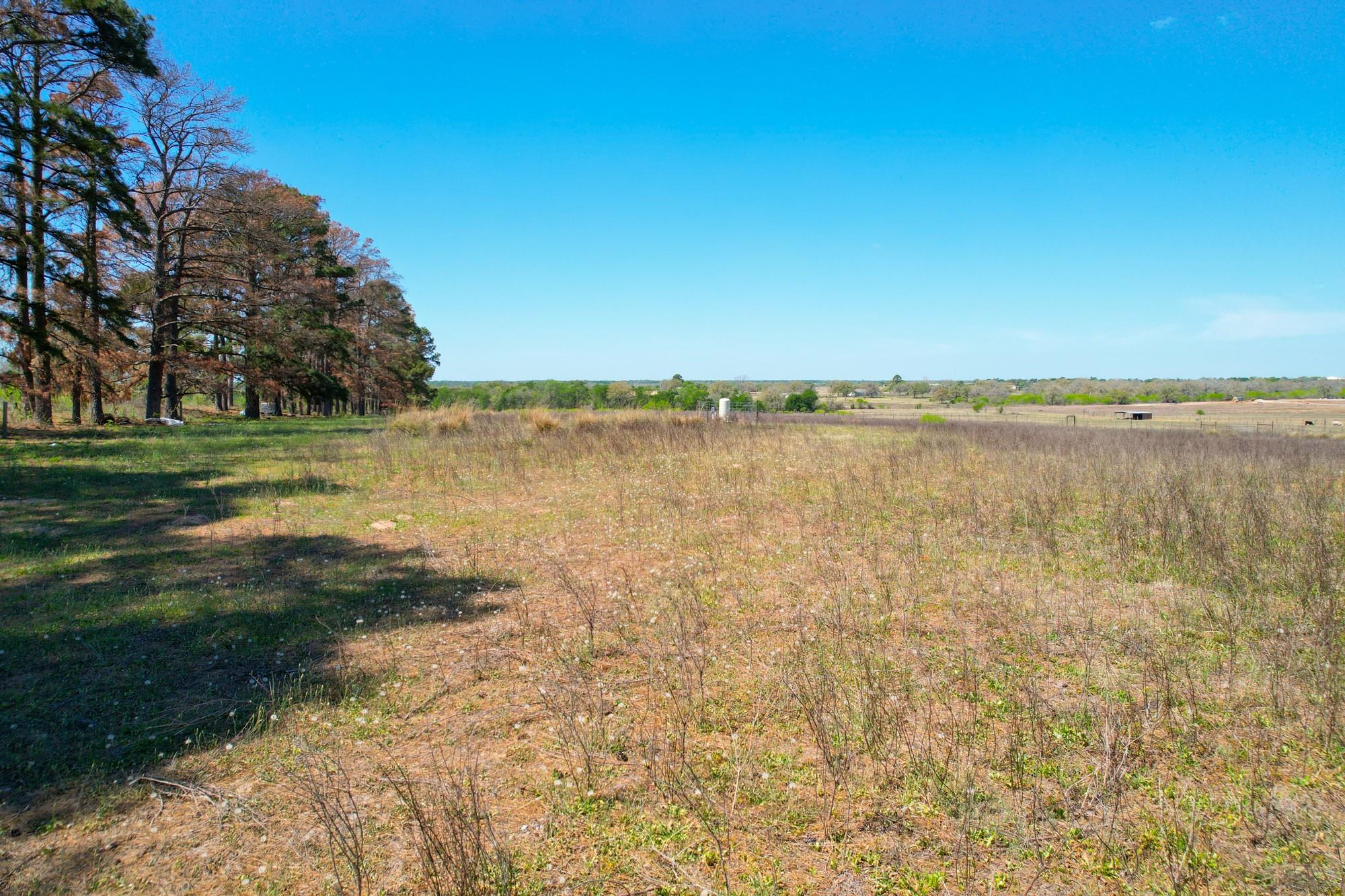 1550 Cattlemens Row Lockhart TX 78644