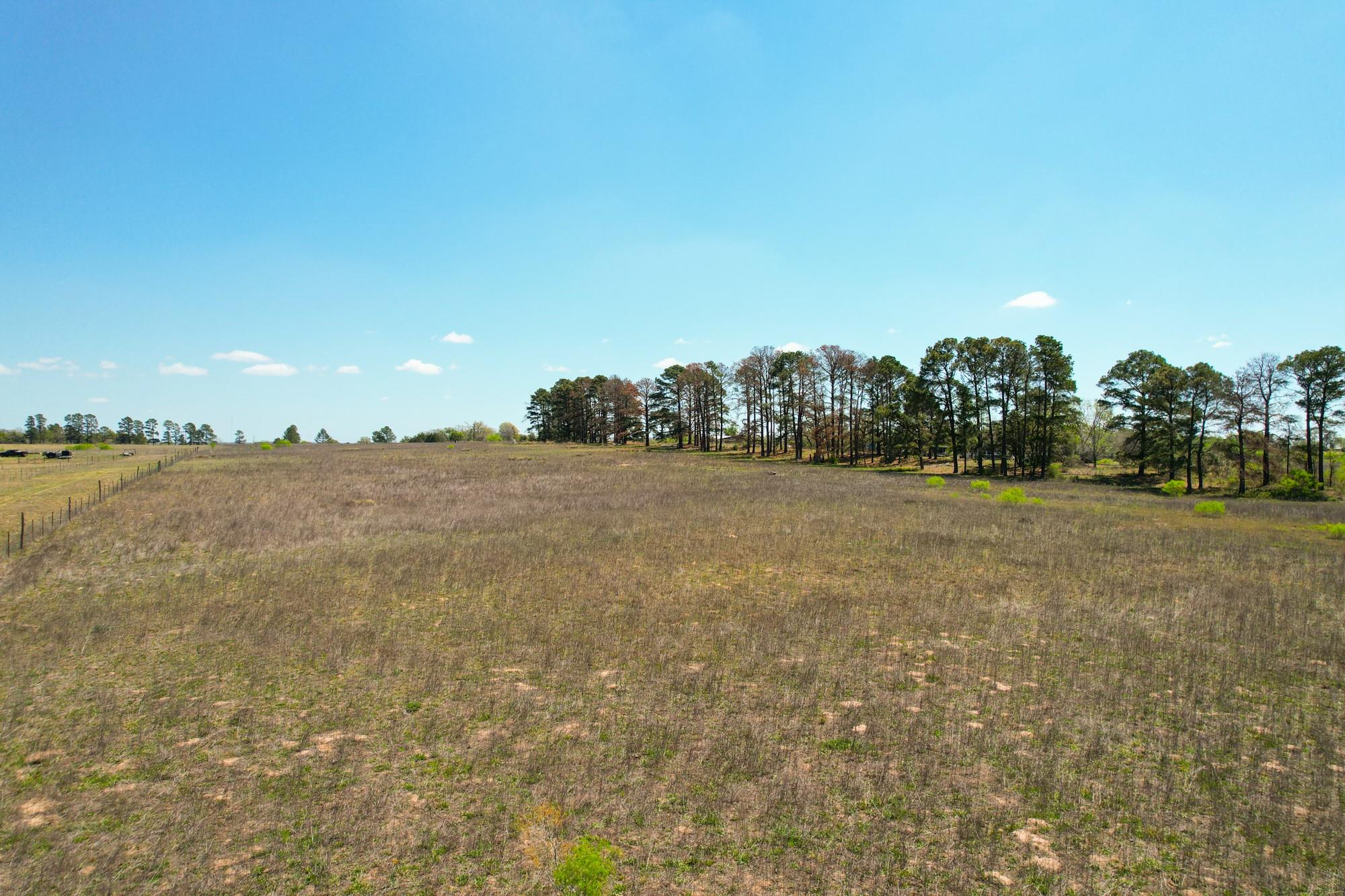 1550 Cattlemens Row Lockhart TX 78644
