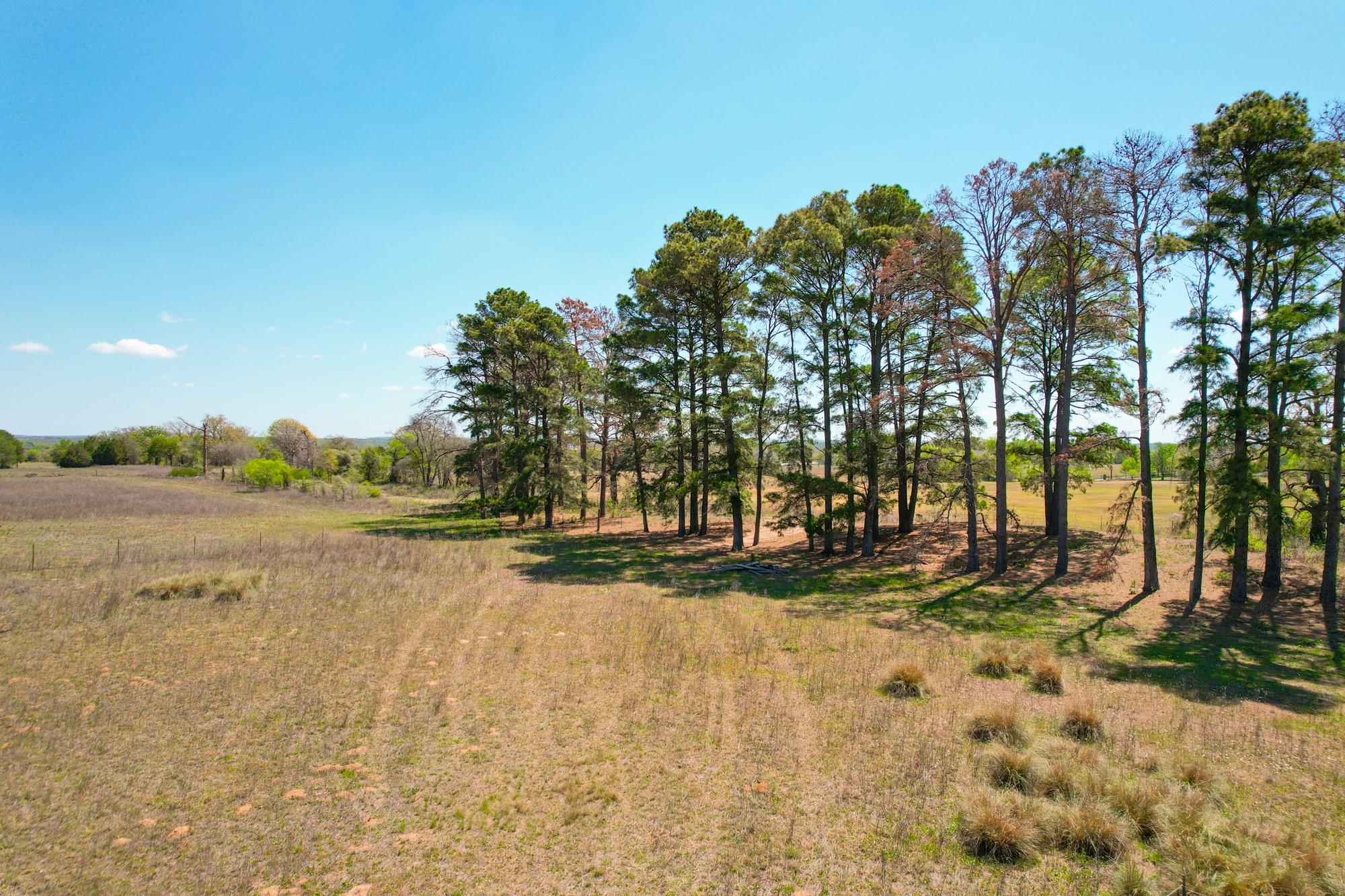 1550 Cattlemens Row Lockhart TX 78644