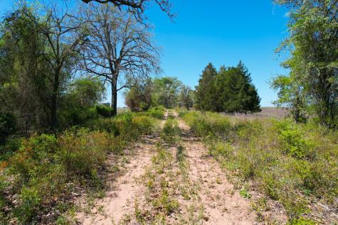 1550 Cattlemens Row Lockhart TX 78644