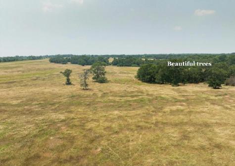 475 County Line Road Dale TX 78616