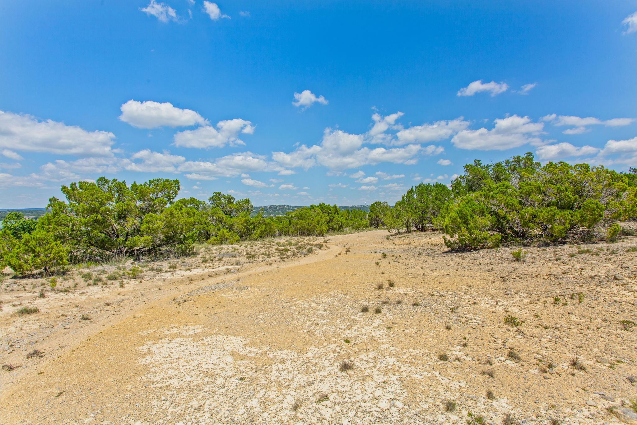 20208 Thurman Bend Road Spicewood TX 78669