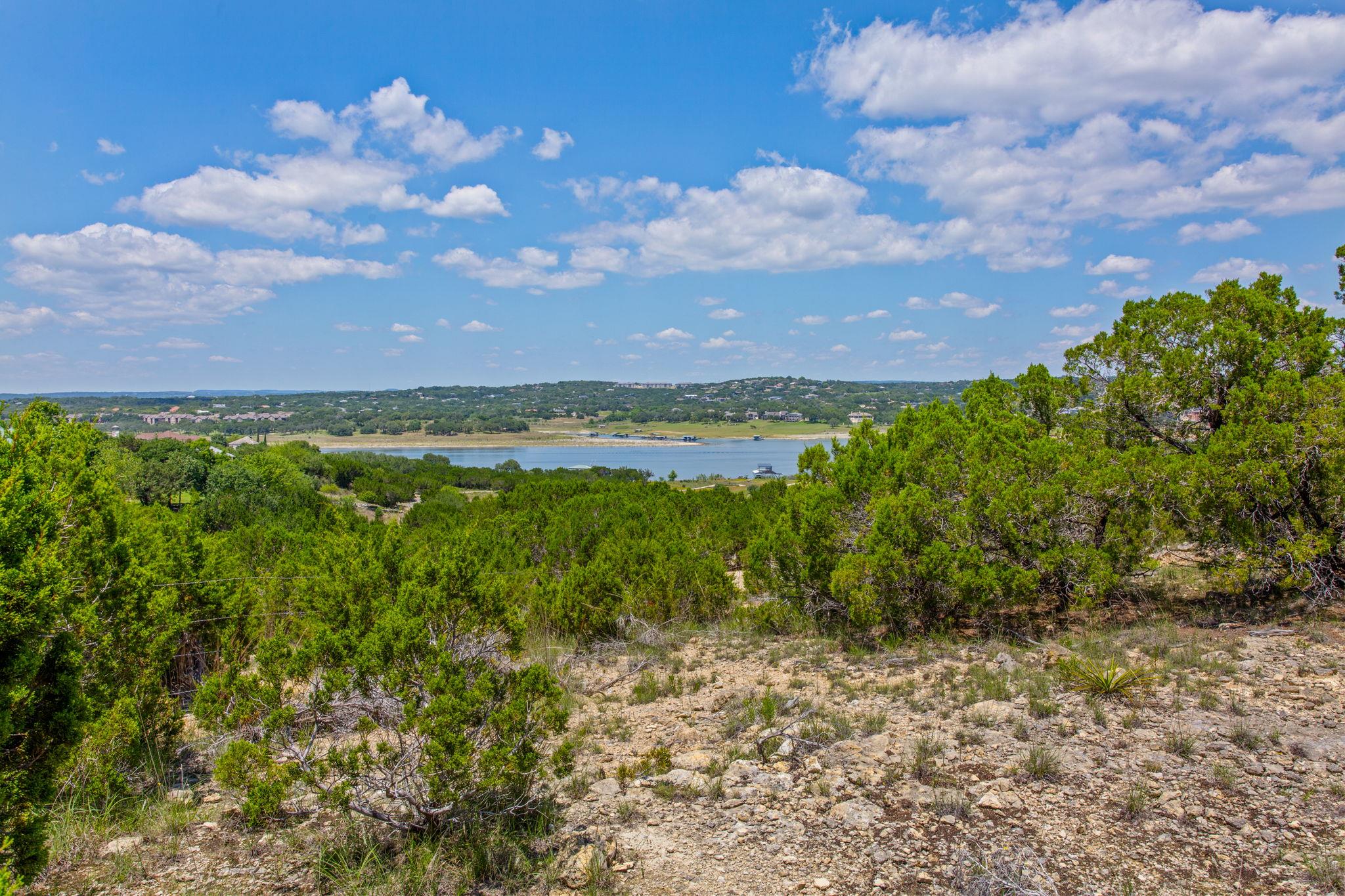 20208 Thurman Bend Road Spicewood TX 78669