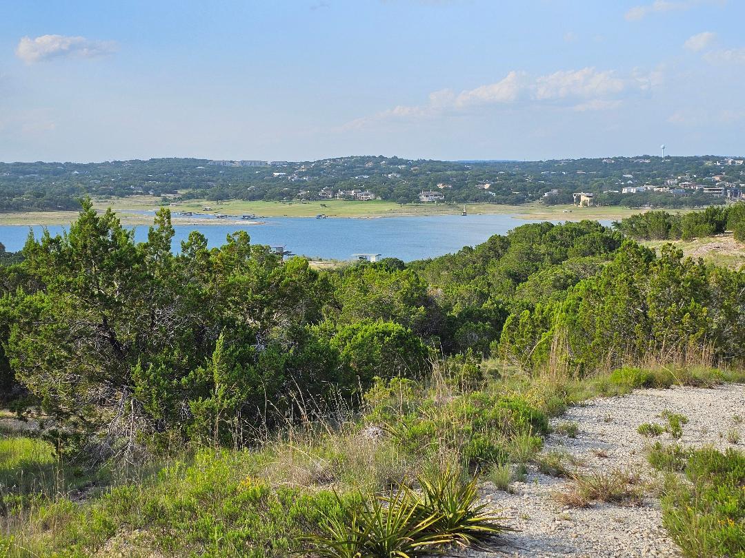 20208 Thurman Bend Road Spicewood TX 78669