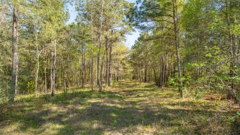 000 Bighorn Road Huntsville TX 77340