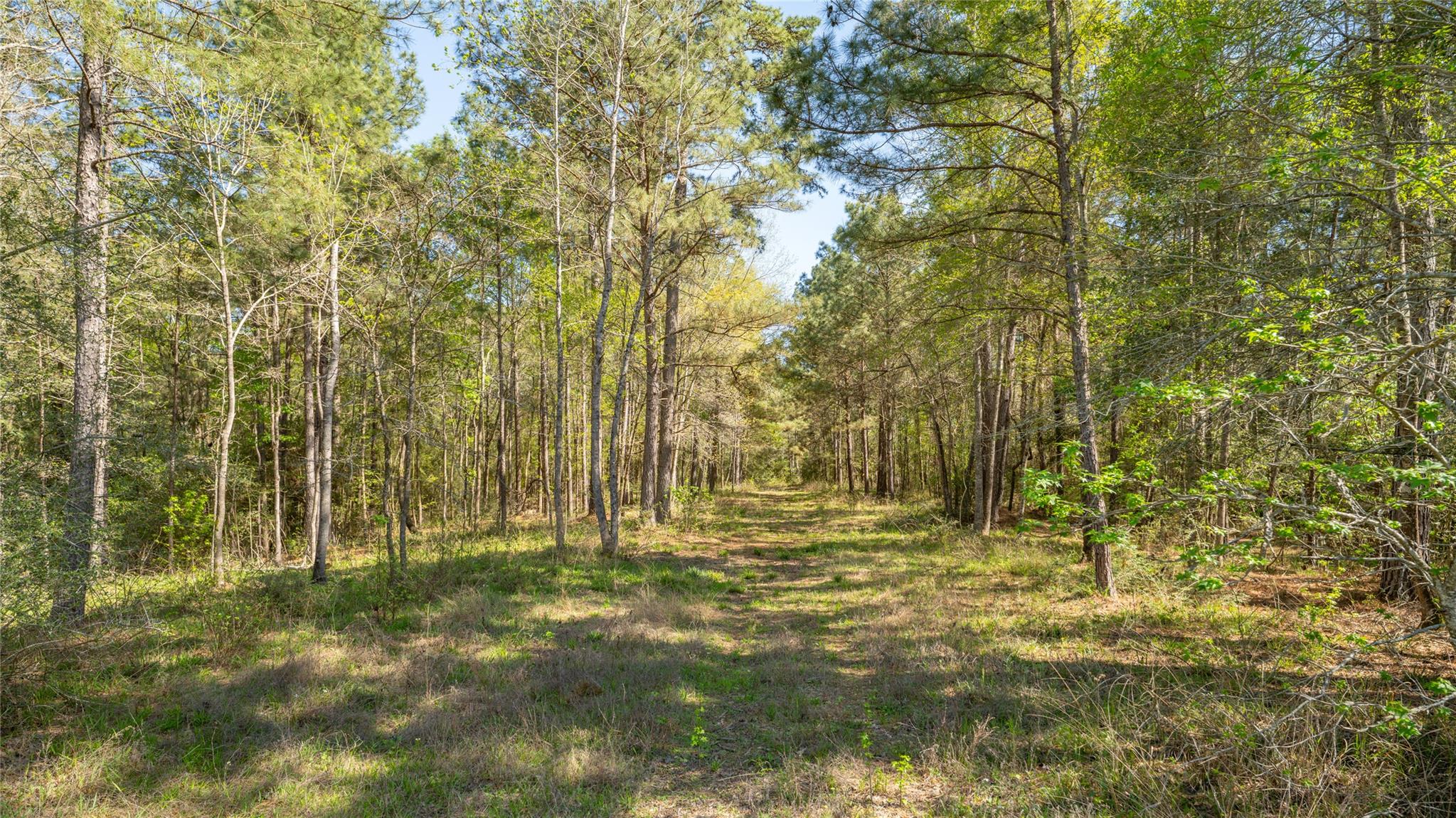 000 Bighorn Road Huntsville TX 77340