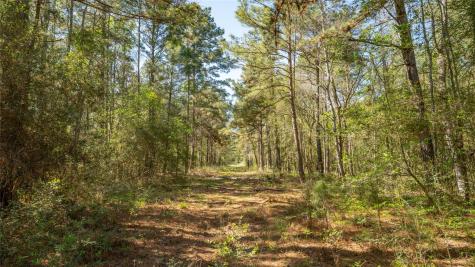 000 Bighorn Road Huntsville TX 77340