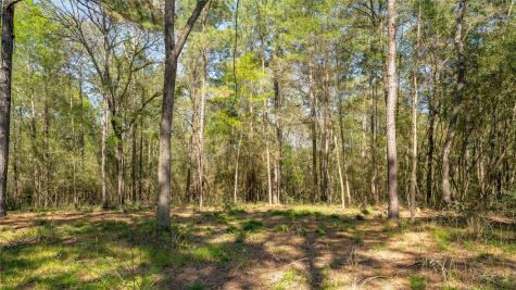 000 Bighorn Road Huntsville TX 77340