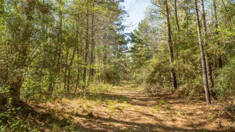 000 Bighorn Road Huntsville TX 77340