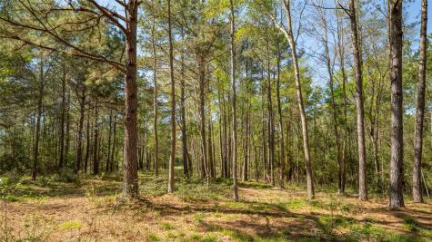 000 Bighorn Road Huntsville TX 77340