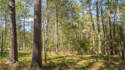 000 Bighorn Road Huntsville TX 77340