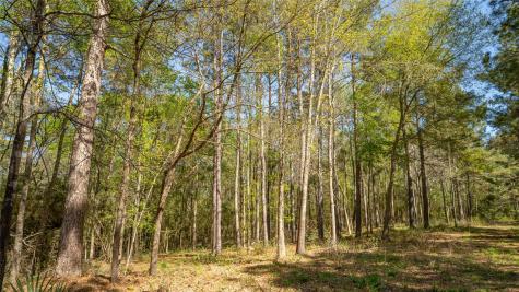000 Bighorn Road Huntsville TX 77340