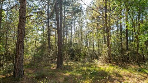 000 Bighorn Road Huntsville TX 77340