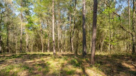 000 Bighorn Road Huntsville TX 77340