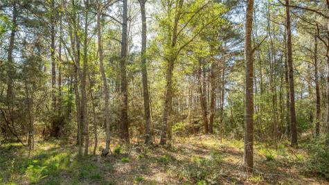 000 Bighorn Road Huntsville TX 77340