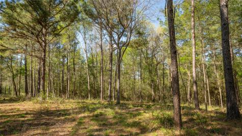 000 Bighorn Road Huntsville TX 77340
