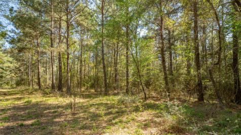 000 Bighorn Road Huntsville TX 77340