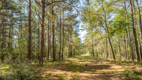 000 Bighorn Road Huntsville TX 77340