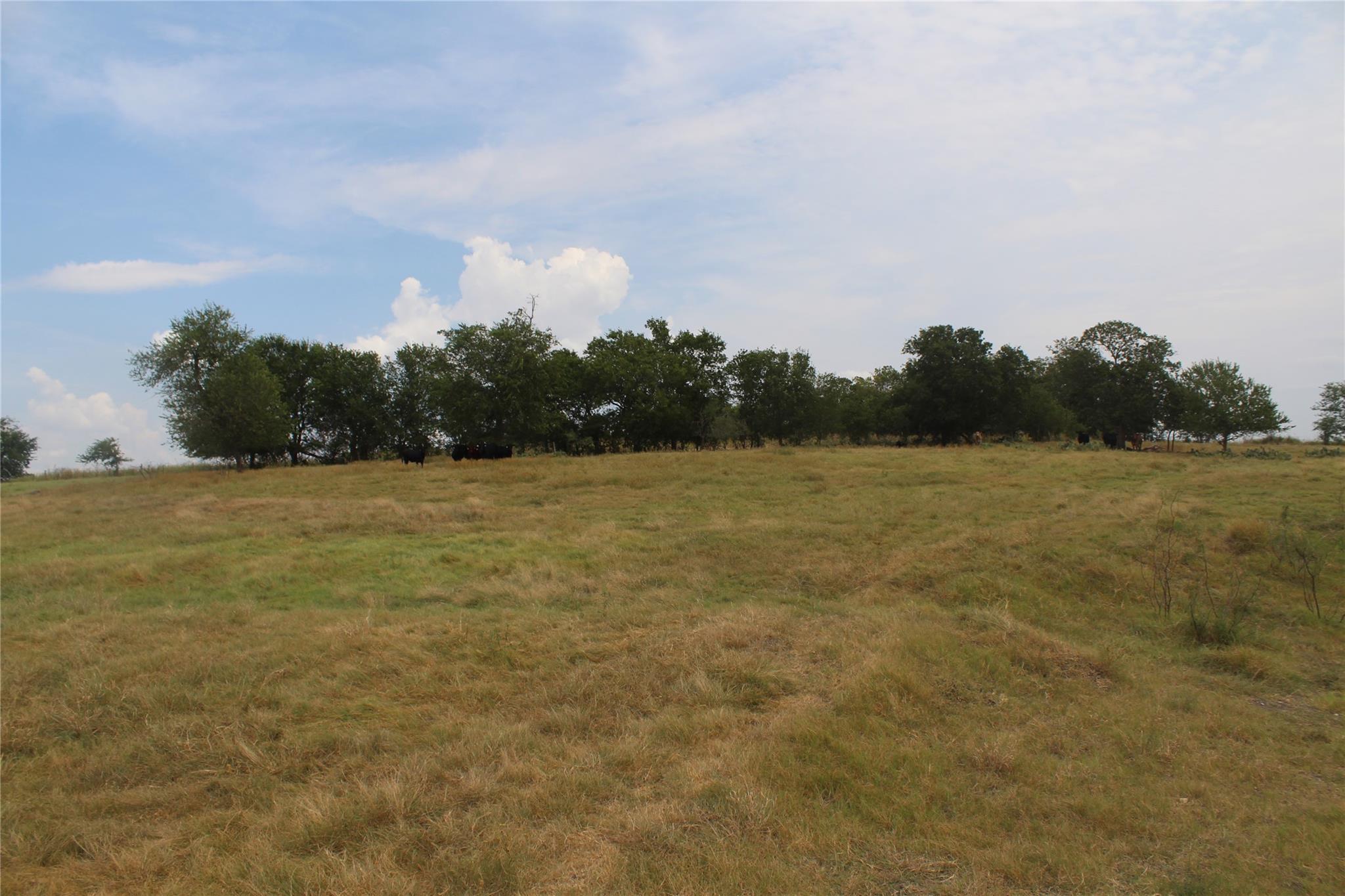 Tba County Road 417 Taylor TX 76574