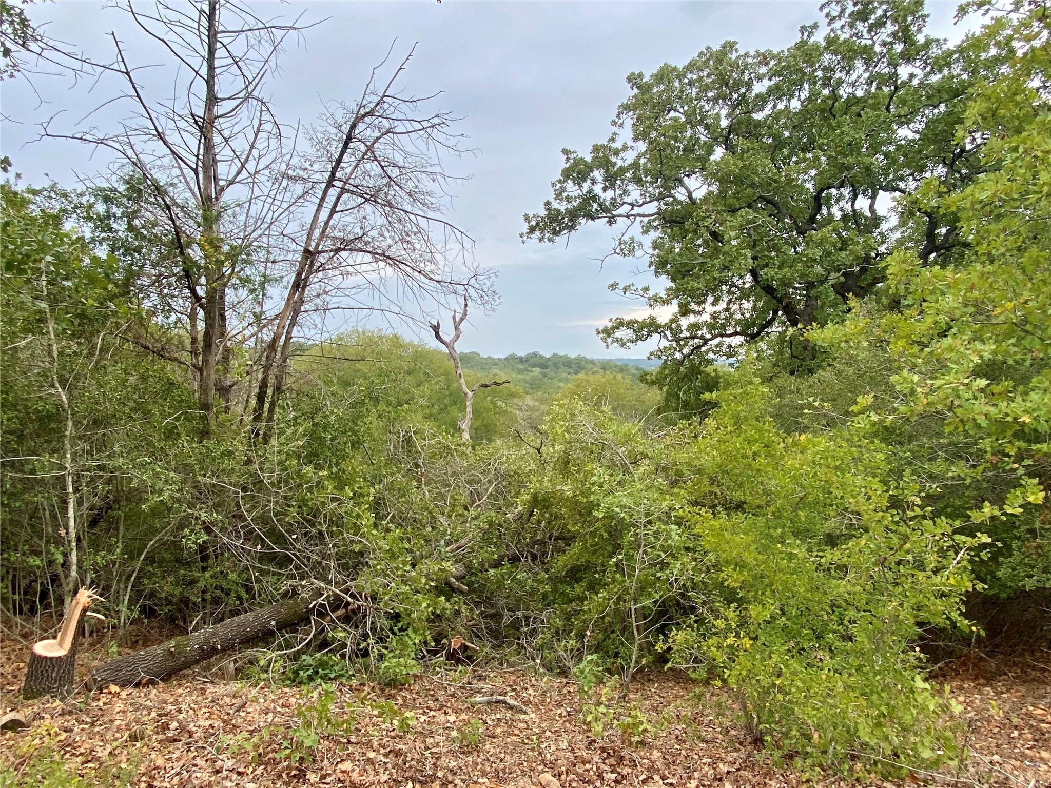 702 Fm 1209 Bastrop TX 78602
