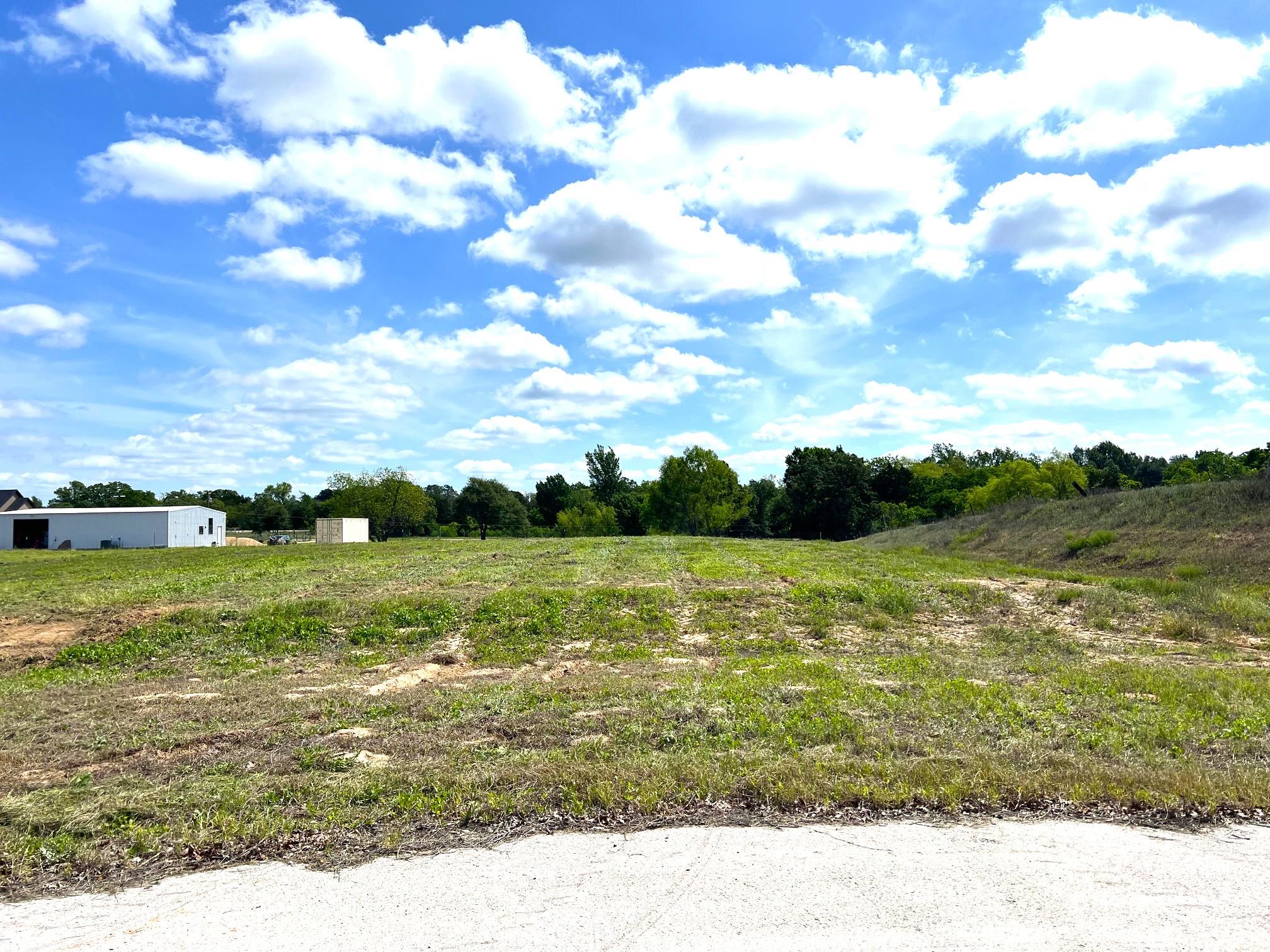 0005 Brenham Street Mcdade TX 78650