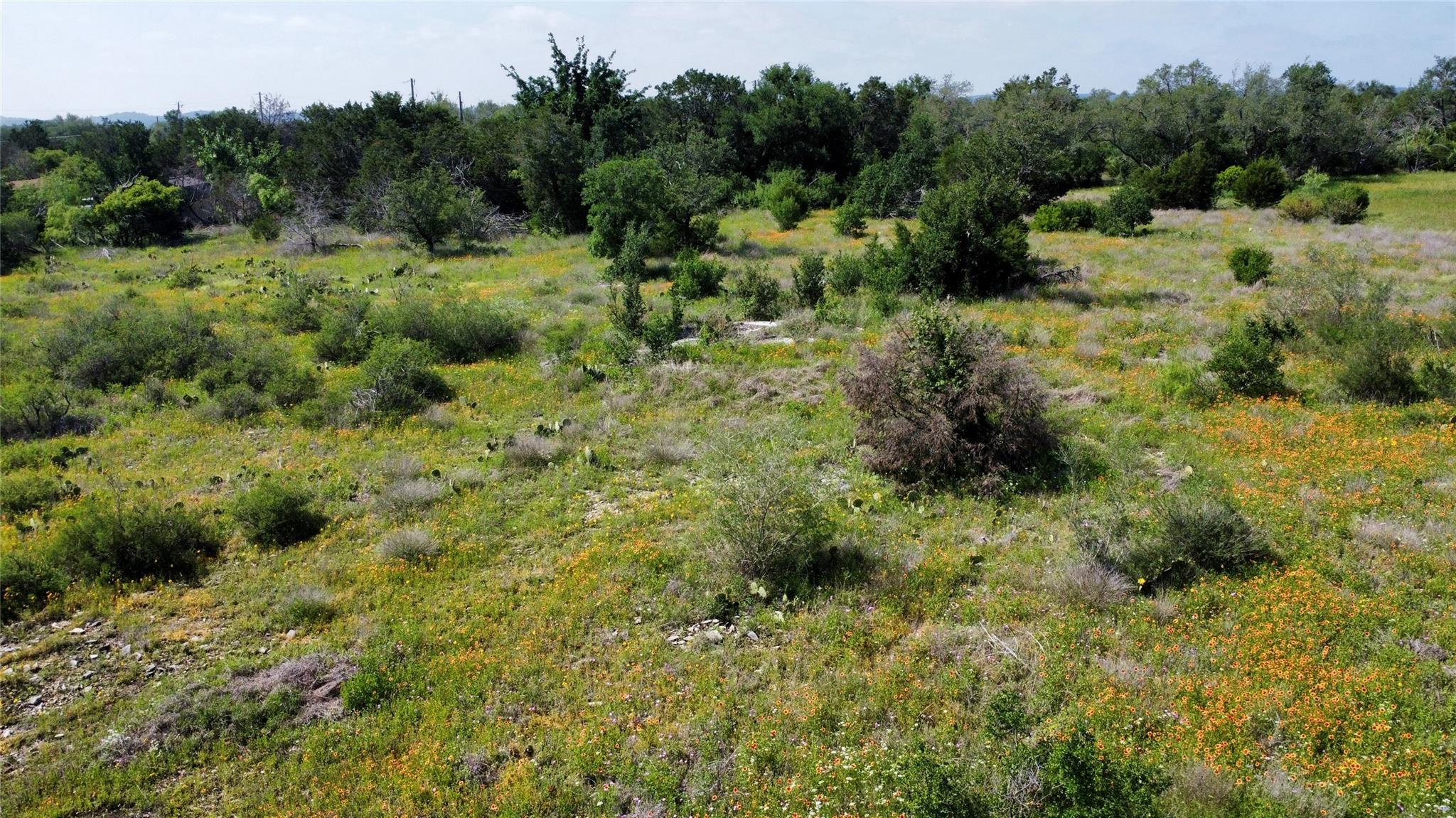 237 Spicewood Trails Drive Spicewood TX 78669