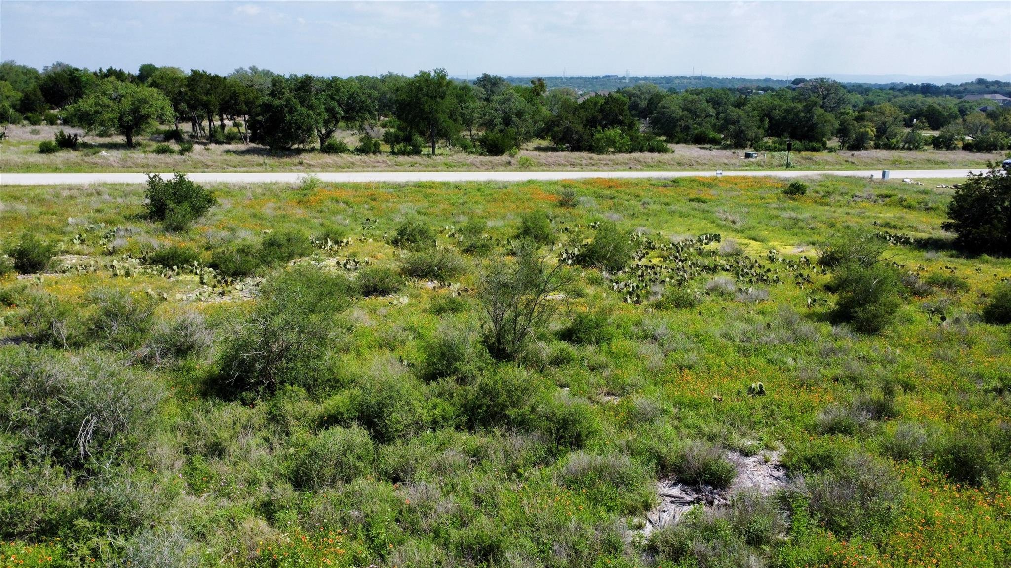 237 Spicewood Trails Drive Spicewood TX 78669