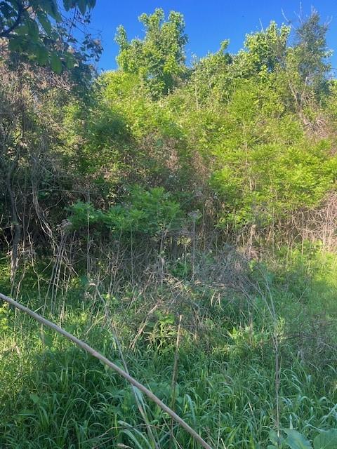 167 Kahana Lane Bastrop TX 78602