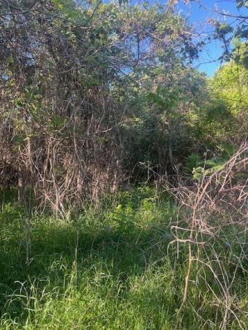 167 Kahana Lane Bastrop TX 78602