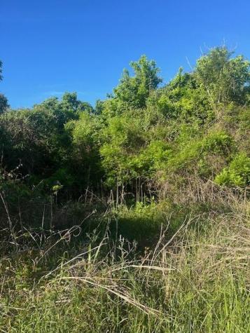 167 Kahana Lane Bastrop TX 78602