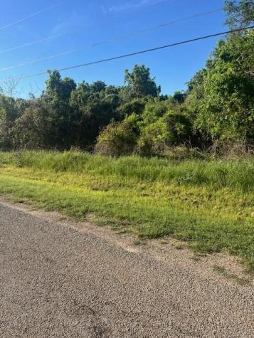 167 Kahana Lane Bastrop TX 78602