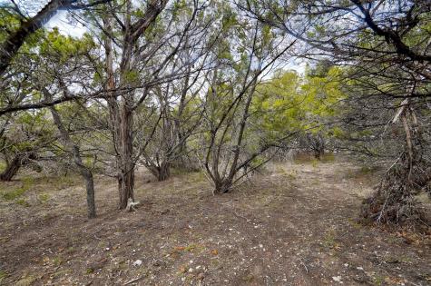 20607 Fawn Ridge Drive Leander TX 78645