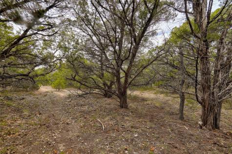 20607 Fawn Ridge Drive Leander TX 78645