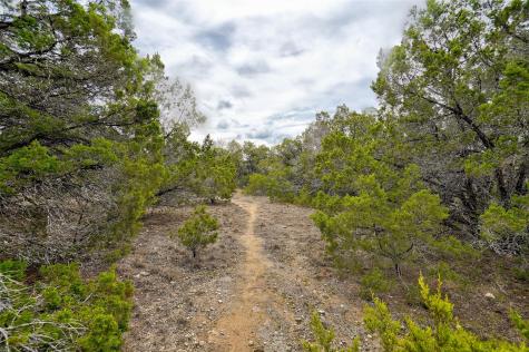 20607 Fawn Ridge Drive Leander TX 78645