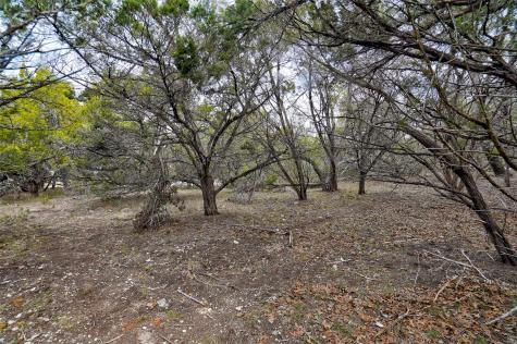 20607 Fawn Ridge Drive Leander TX 78645