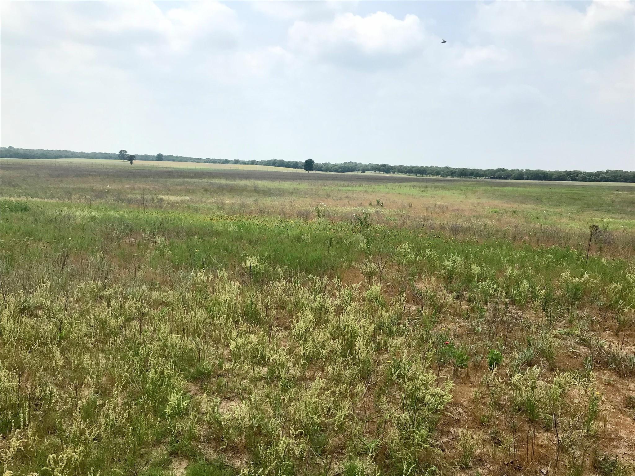 1672 Sayers Tract 2 Road Bastrop TX 78602