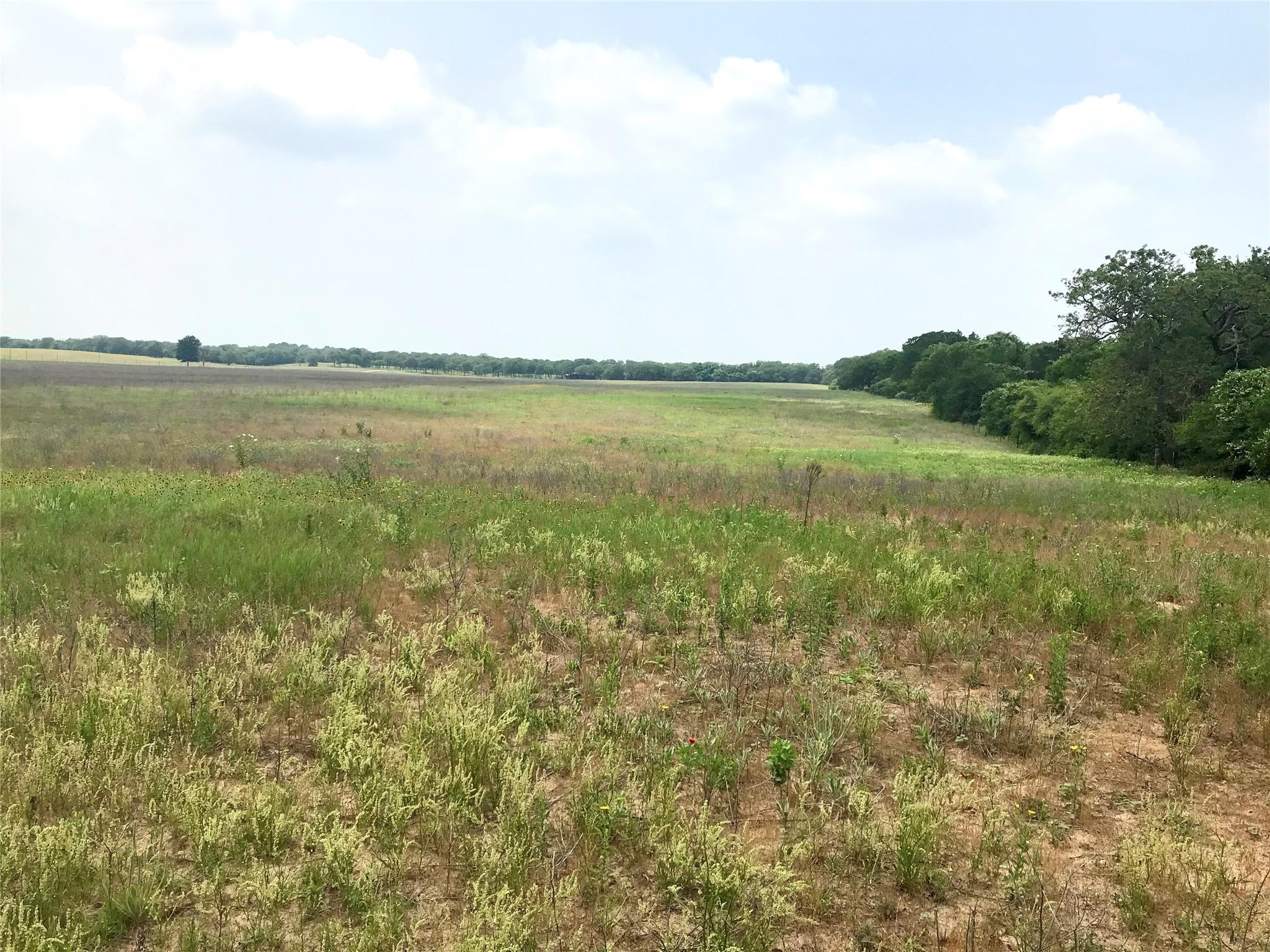 1672 Sayers Tract 2 Road Bastrop TX 78602
