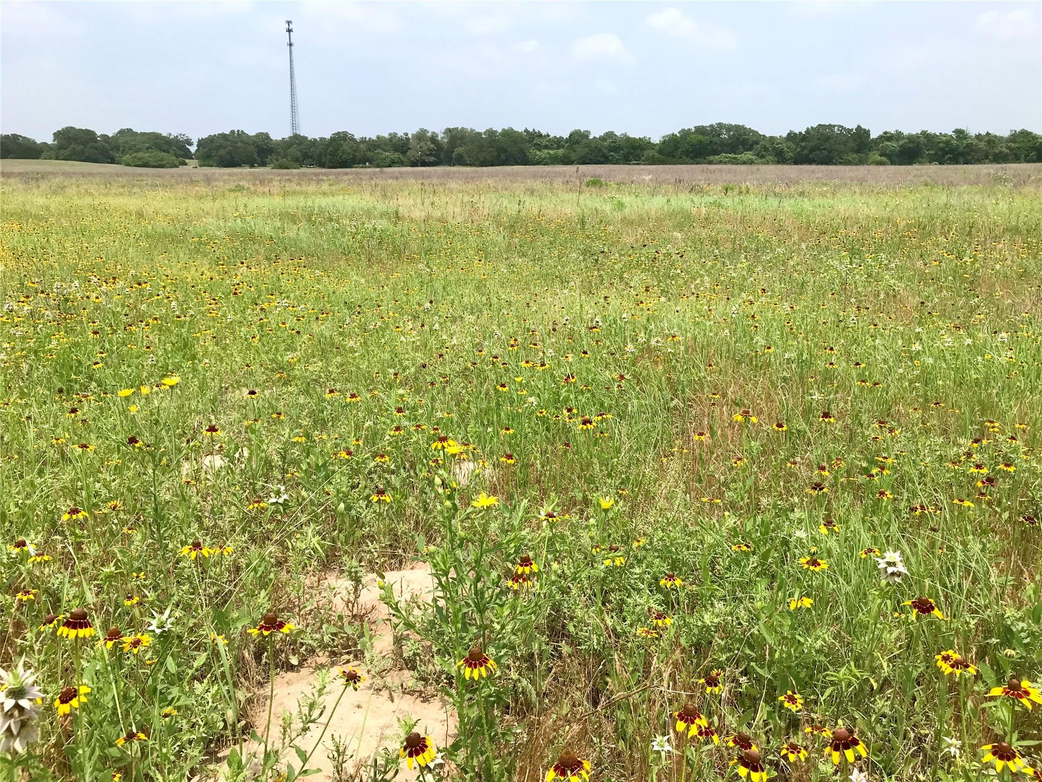 1672 Sayers Tract 2 Road Bastrop TX 78602