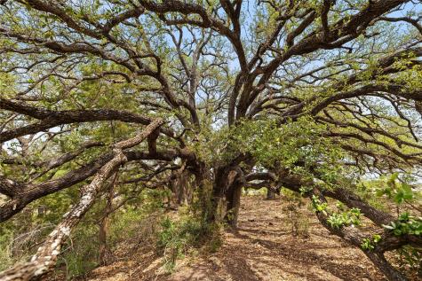 Tbd County Road 207 Burnet TX 78611