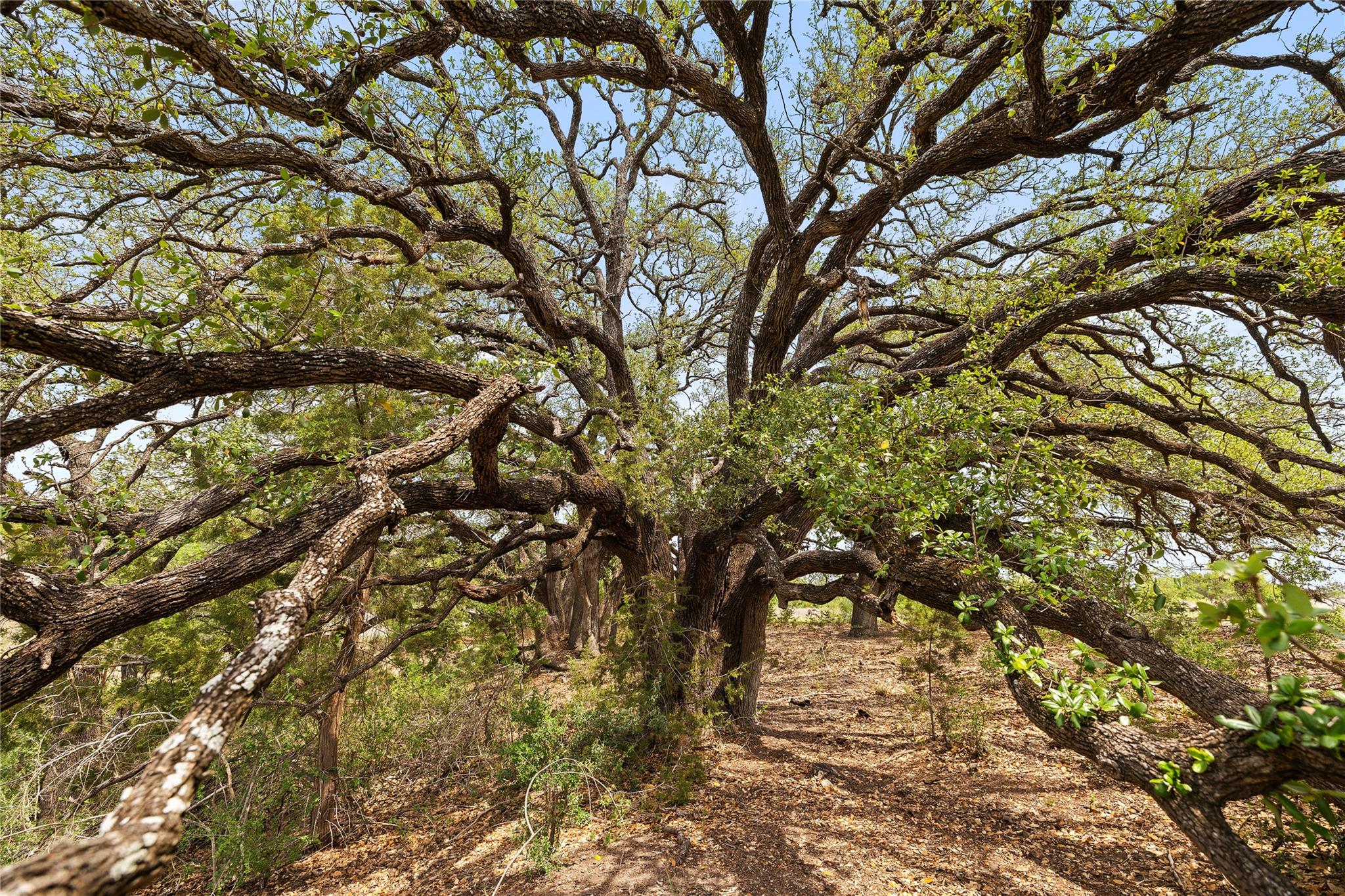 Tbd County Road 207 Burnet TX 78611