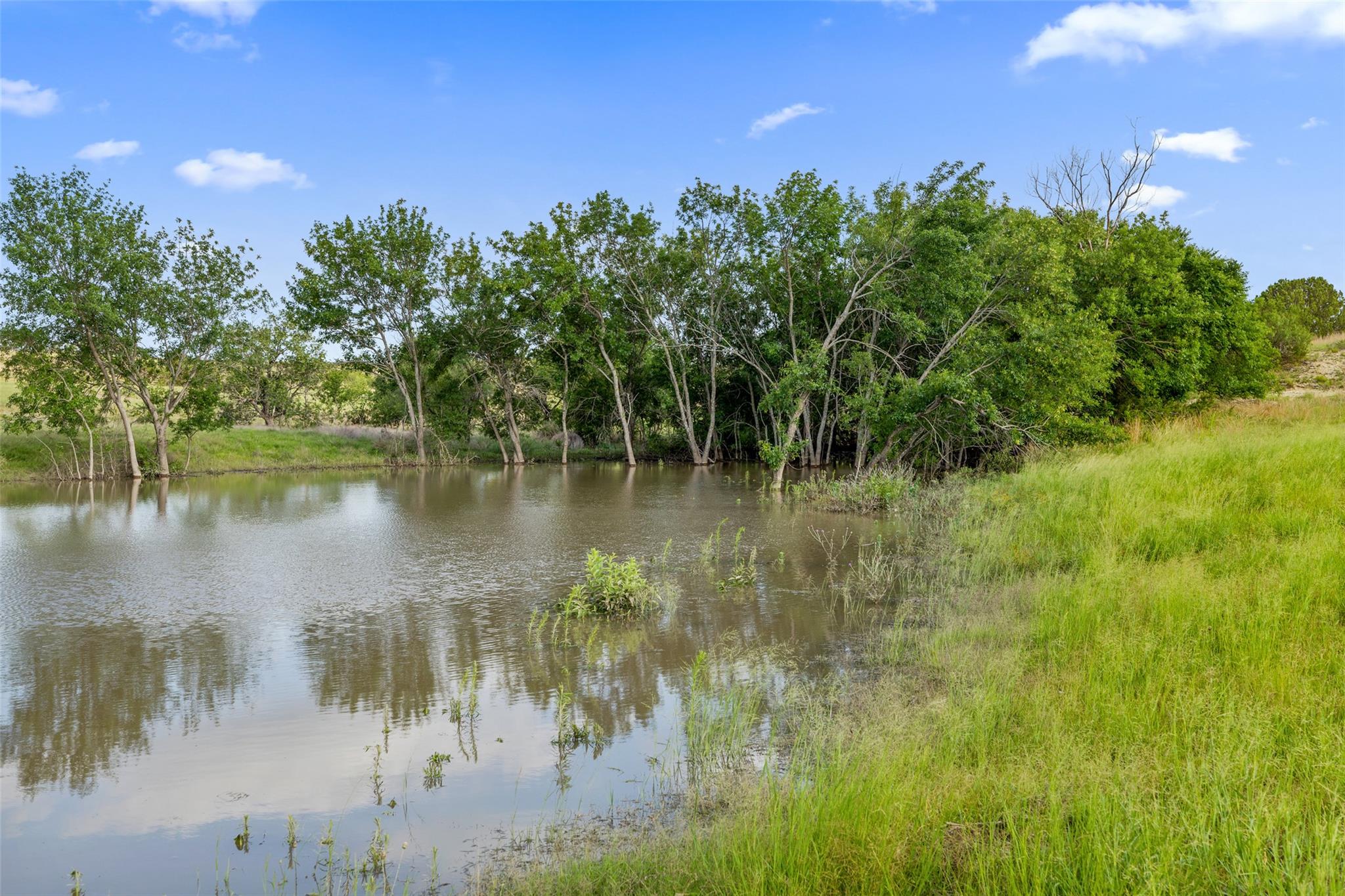 Tbd County Road 207 Burnet TX 78611