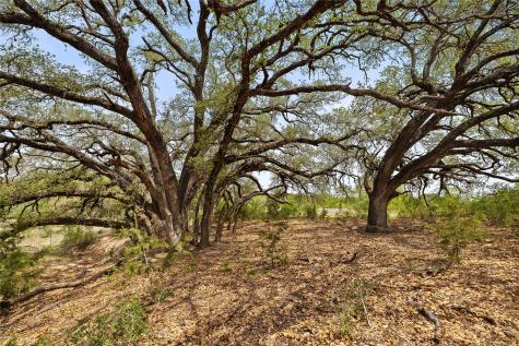 Tbd County Road 207 Burnet TX 78611