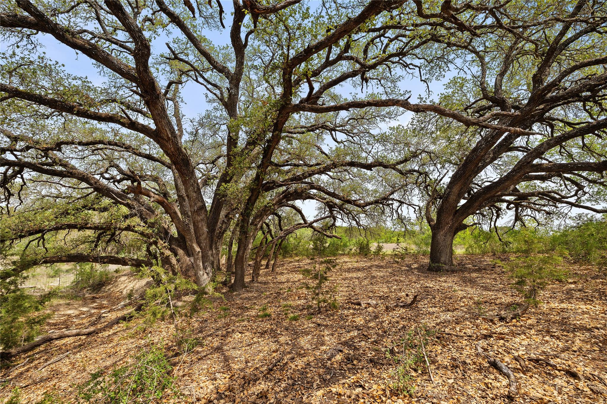 Tbd County Road 207 Burnet TX 78611