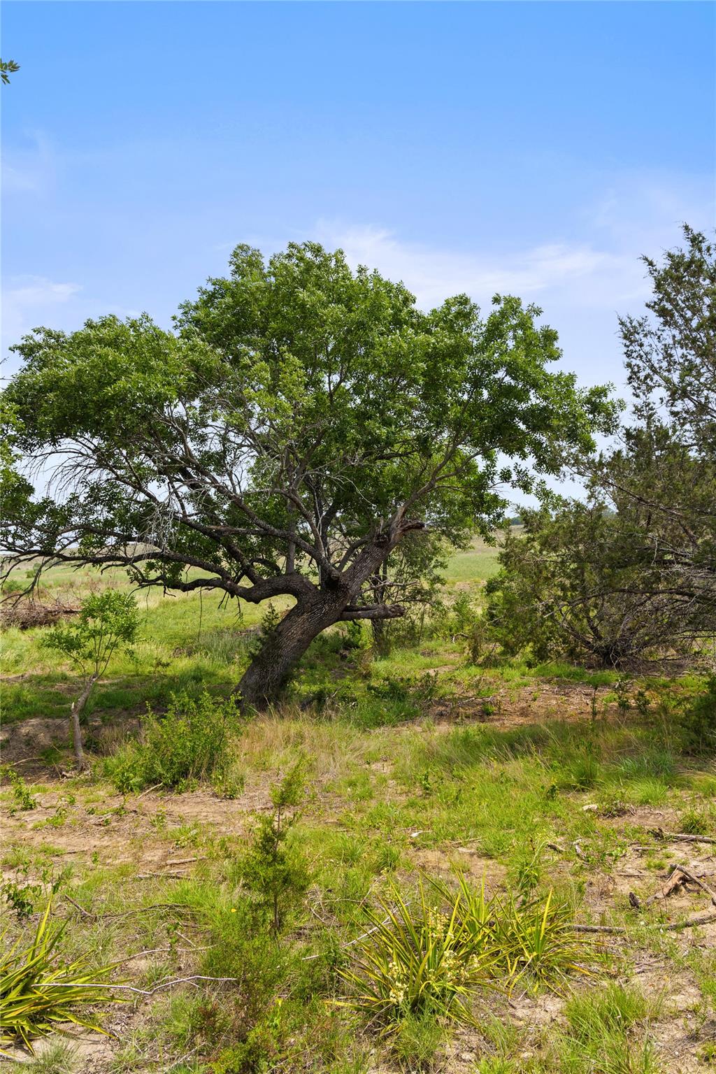 Tbd County Road 207 Burnet TX 78611
