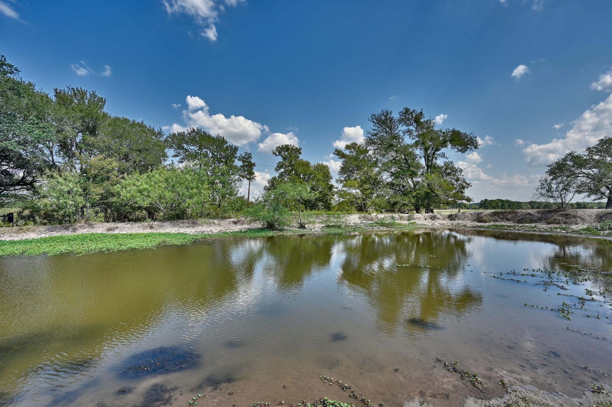 Tbd(+/- 237.91 Ac) Highway 36 S Caldwell TX 77836