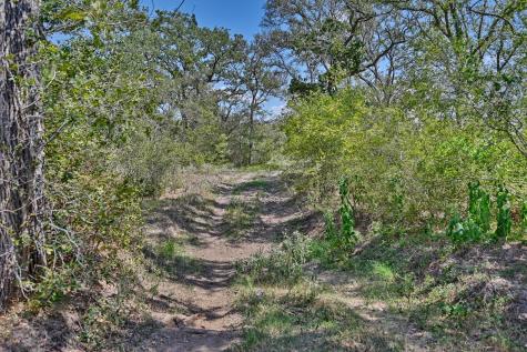 Tbd(+/- 237.91 Ac) Highway 36 S Caldwell TX 77836