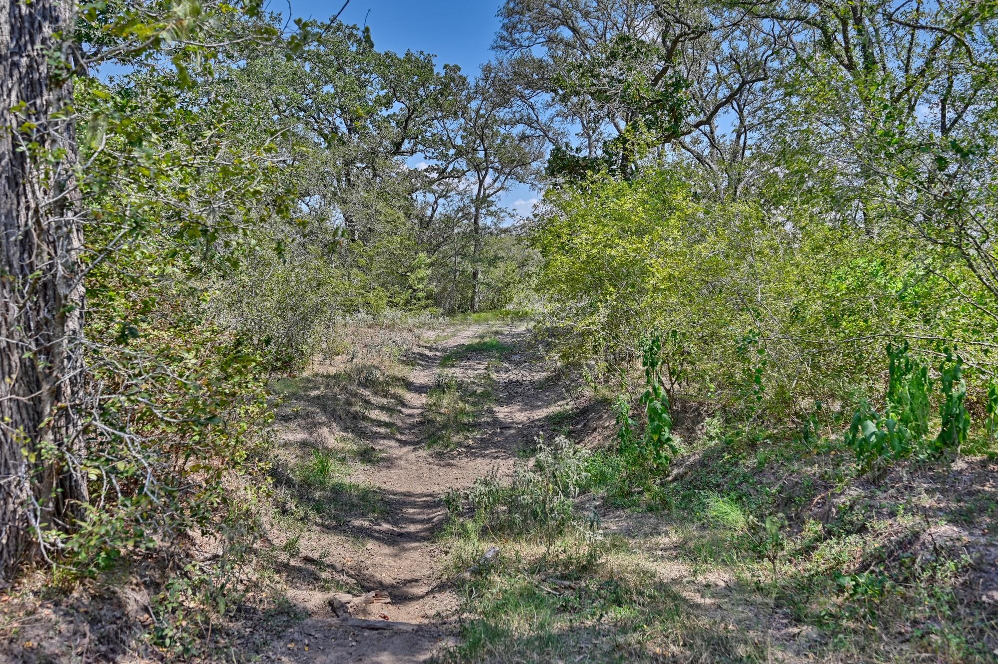 Tbd(+/- 237.91 Ac) Highway 36 S Caldwell TX 77836