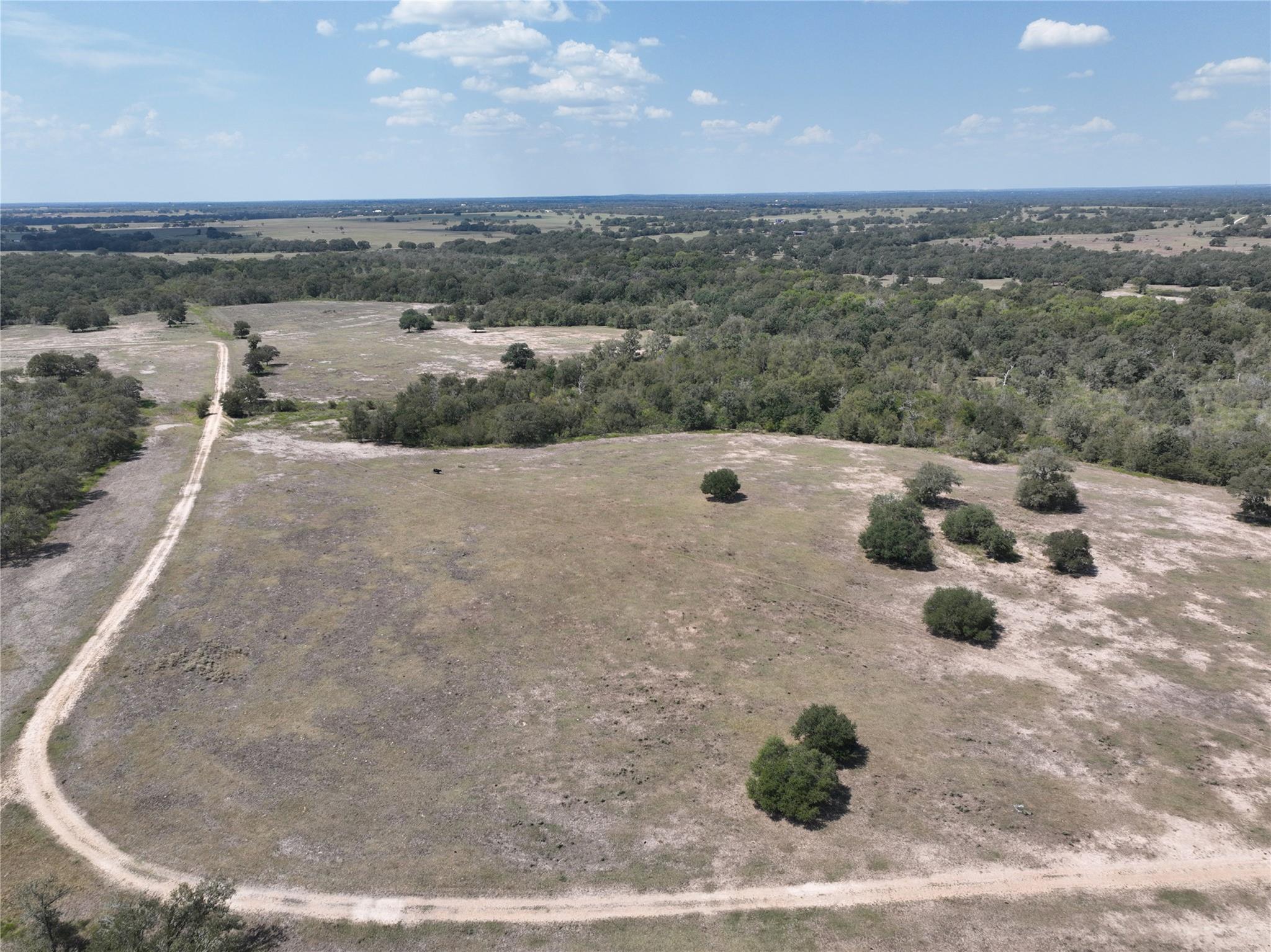 Tbd(+/- 237.91 Ac) Highway 36 S Caldwell TX 77836