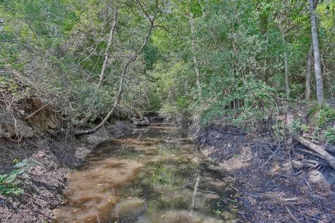 Tbd(+/- 237.91 Ac) Highway 36 S Caldwell TX 77836